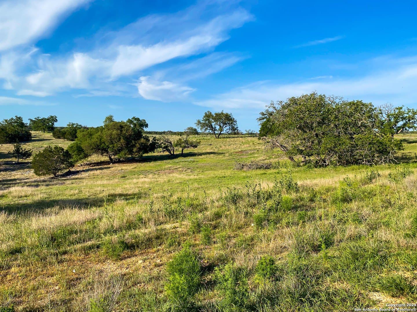 3.42 acres in Gillespie County - photo 9
