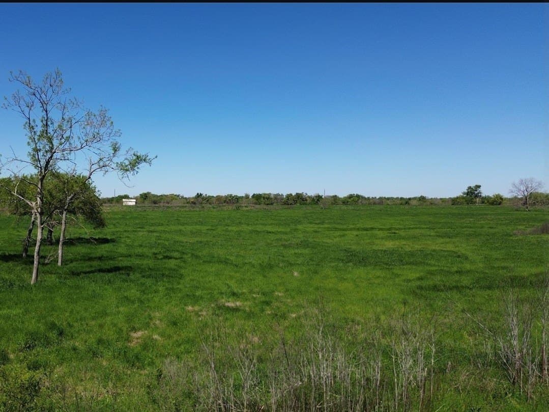 5.52 acres in Rains County - photo 3