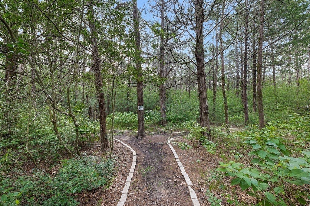 22 acres in Lee County - photo 24