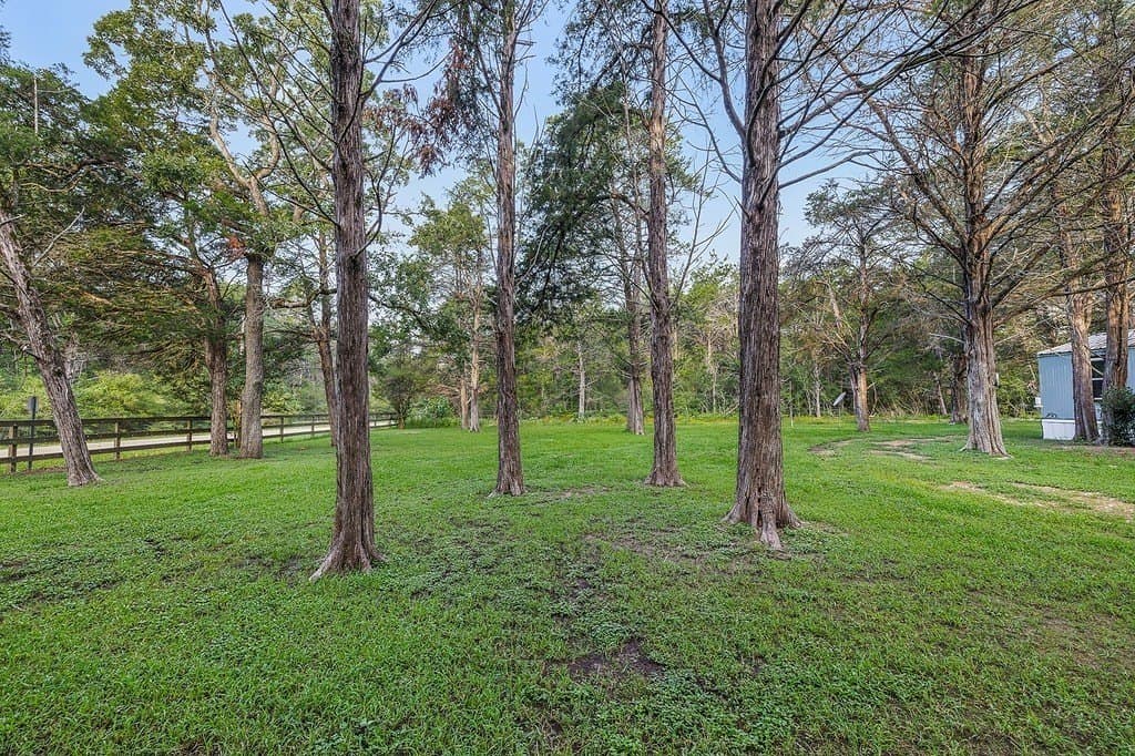 22 acres in Lee County gallery image 3