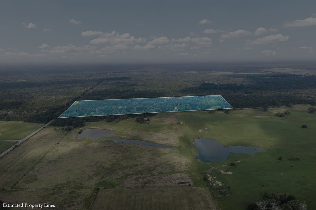 22 acres in Lee County - photo 29