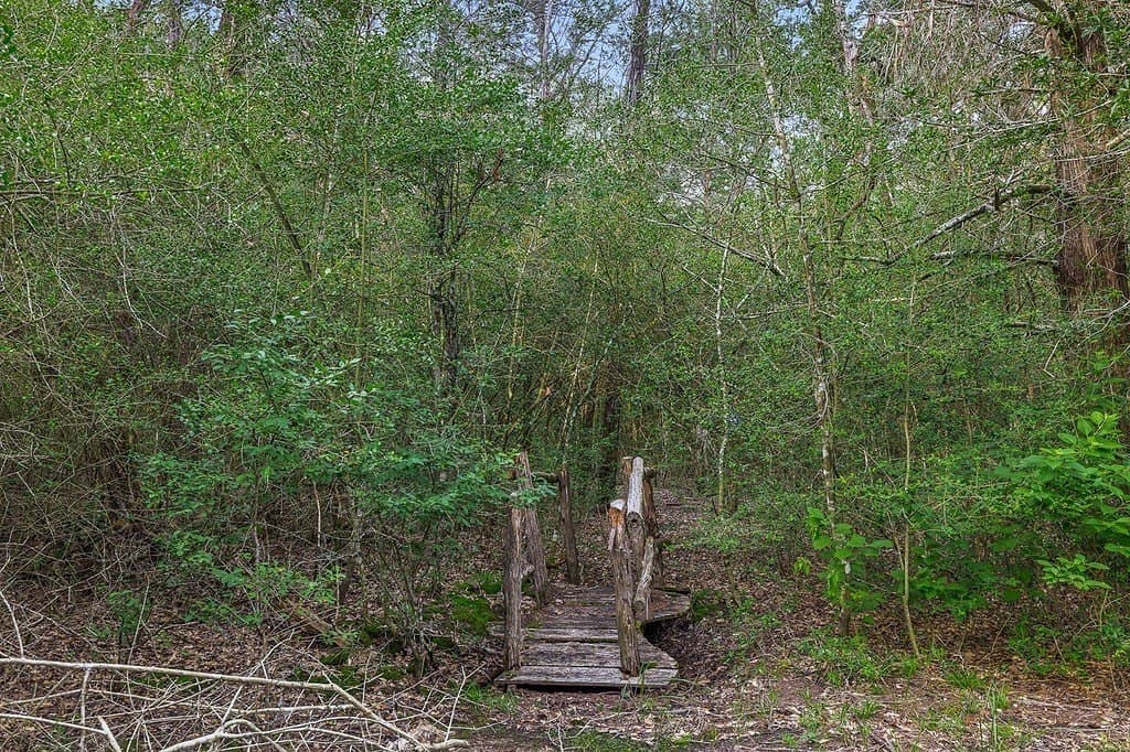 22 acres in Lee County - photo 25