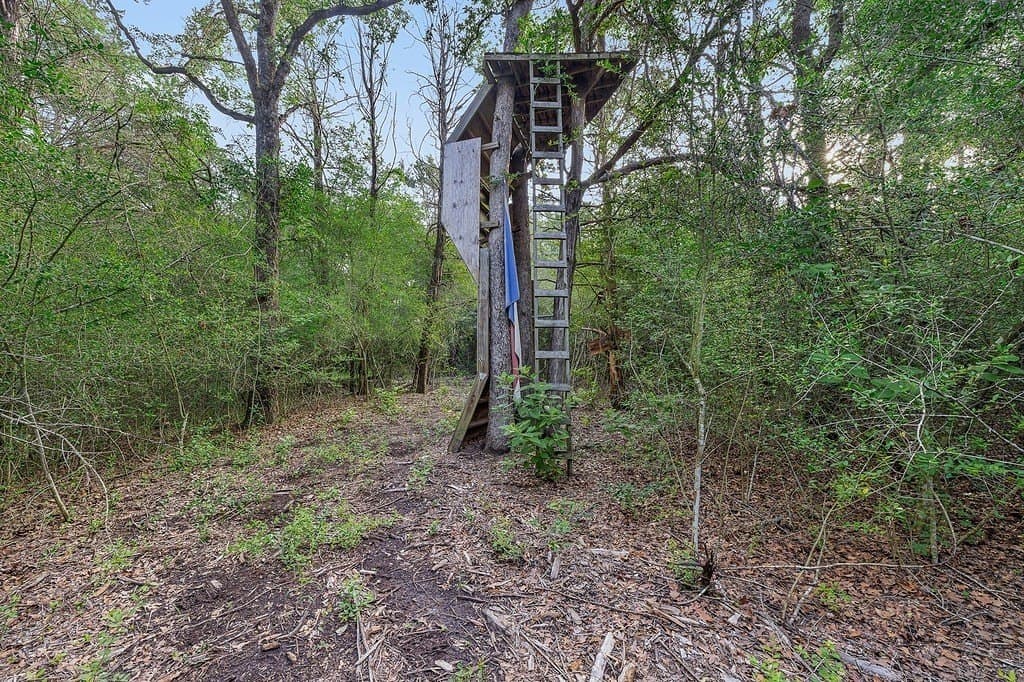22 acres in Lee County - photo 23