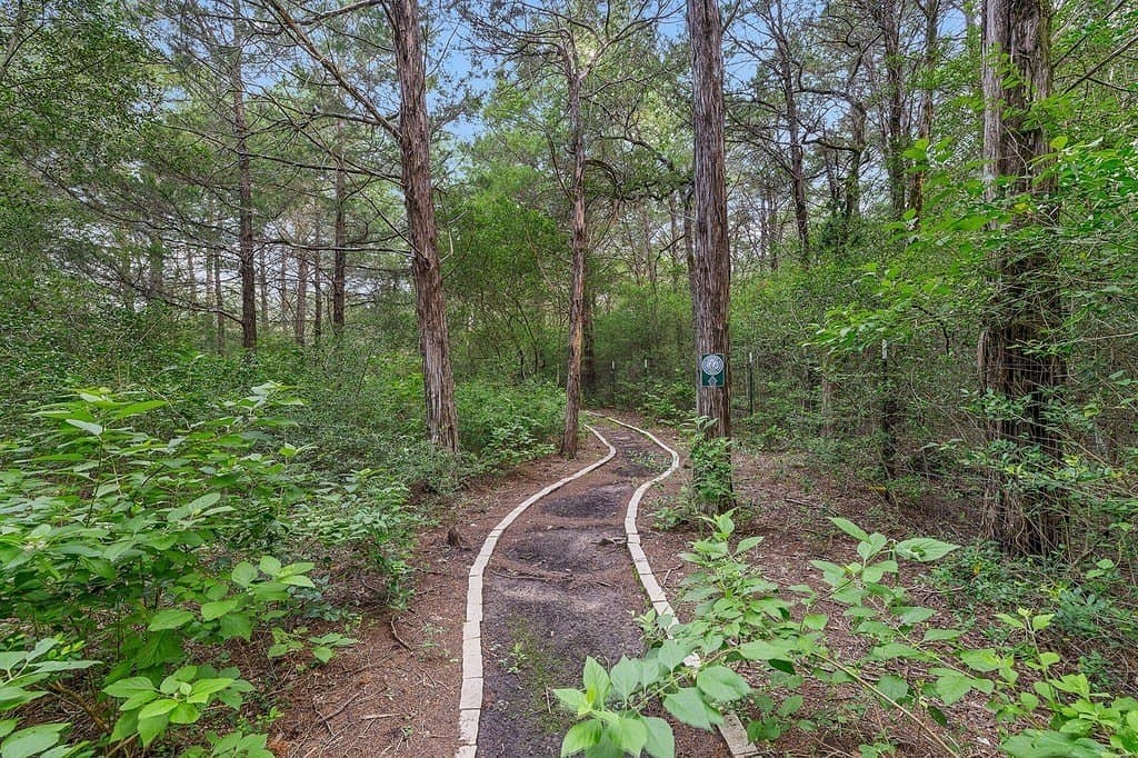 22 acres in Lee County - photo 22