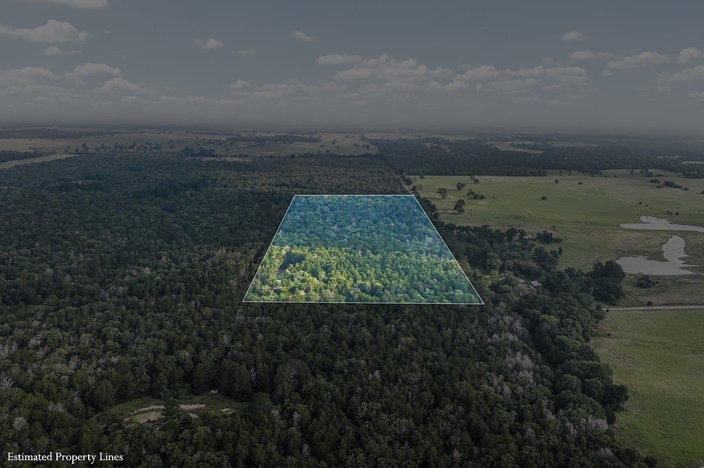 22 acres in Lee County - photo 28