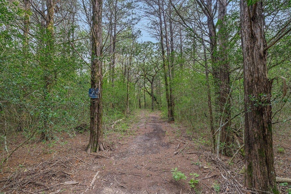 22 acres in Lee County - photo 26