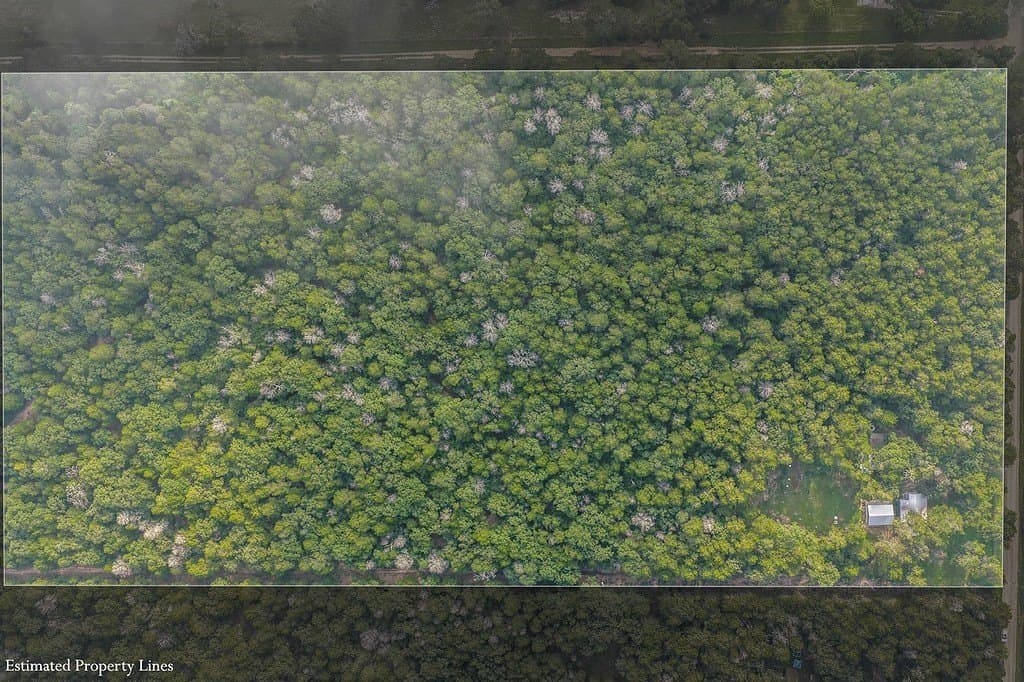 22 acres in Lee County - photo 30