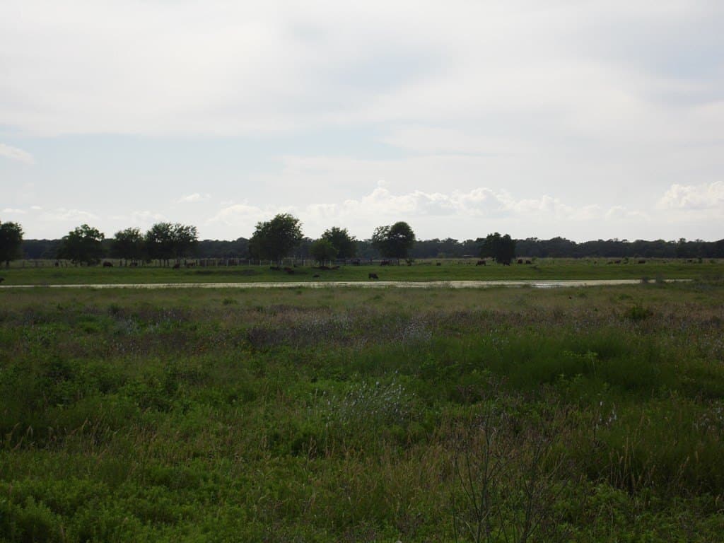 2.47 acres in Cedar Lane County - photo 6