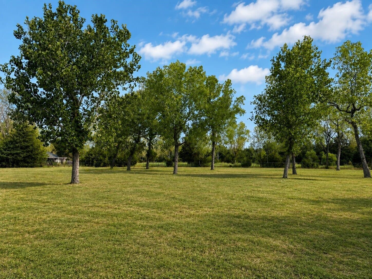2 acres in Ellis County - photo 2