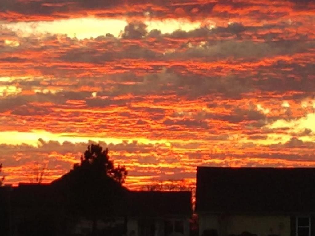 2.24 acres in Henderson County gallery image 4