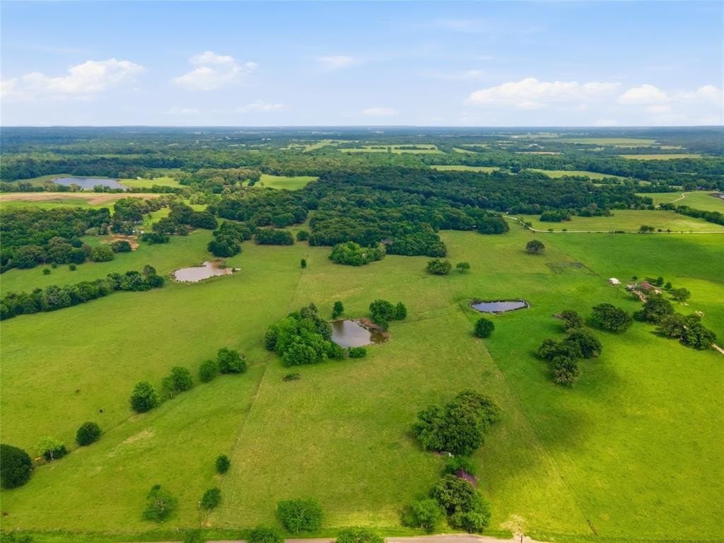 18 acres in Hopkins County gallery image 2