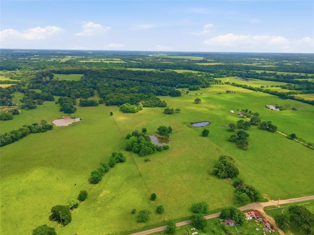18 acres in Hopkins County gallery image 4