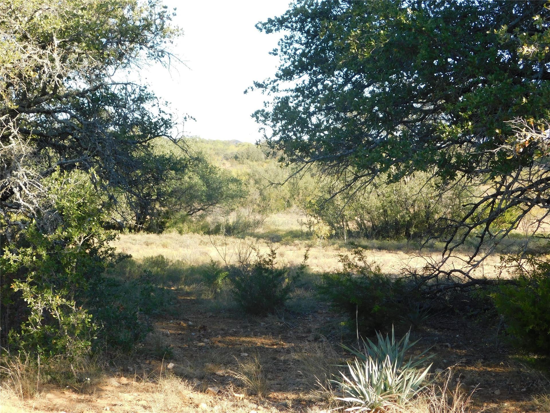 75.99 acres in Brown County - photo 16