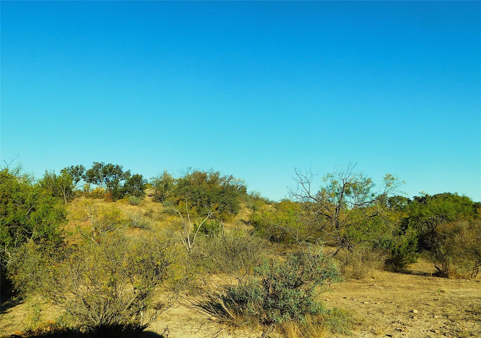 75.99 acres in Brown County - photo 2