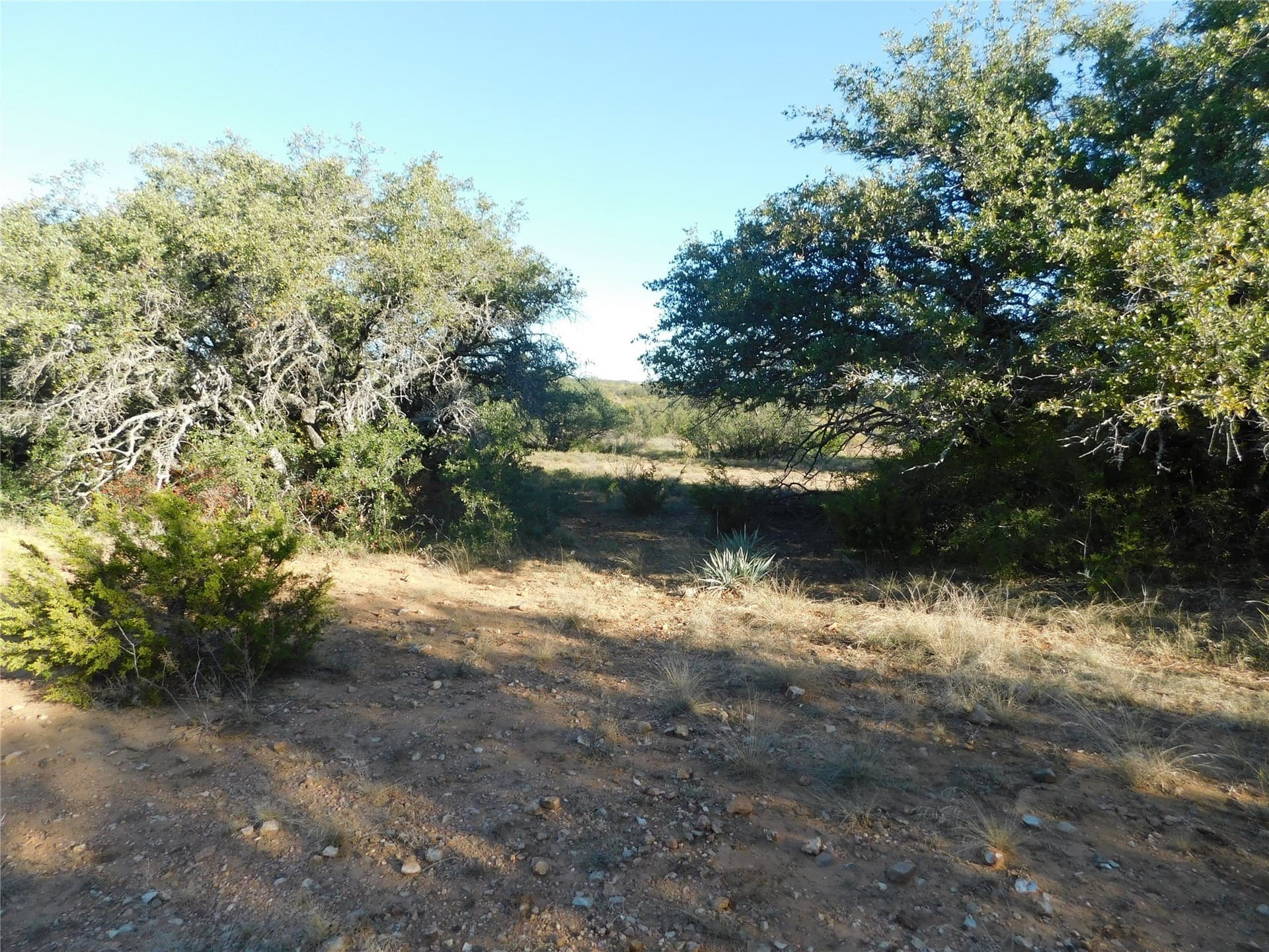 75.99 acres in Brown County - photo 15