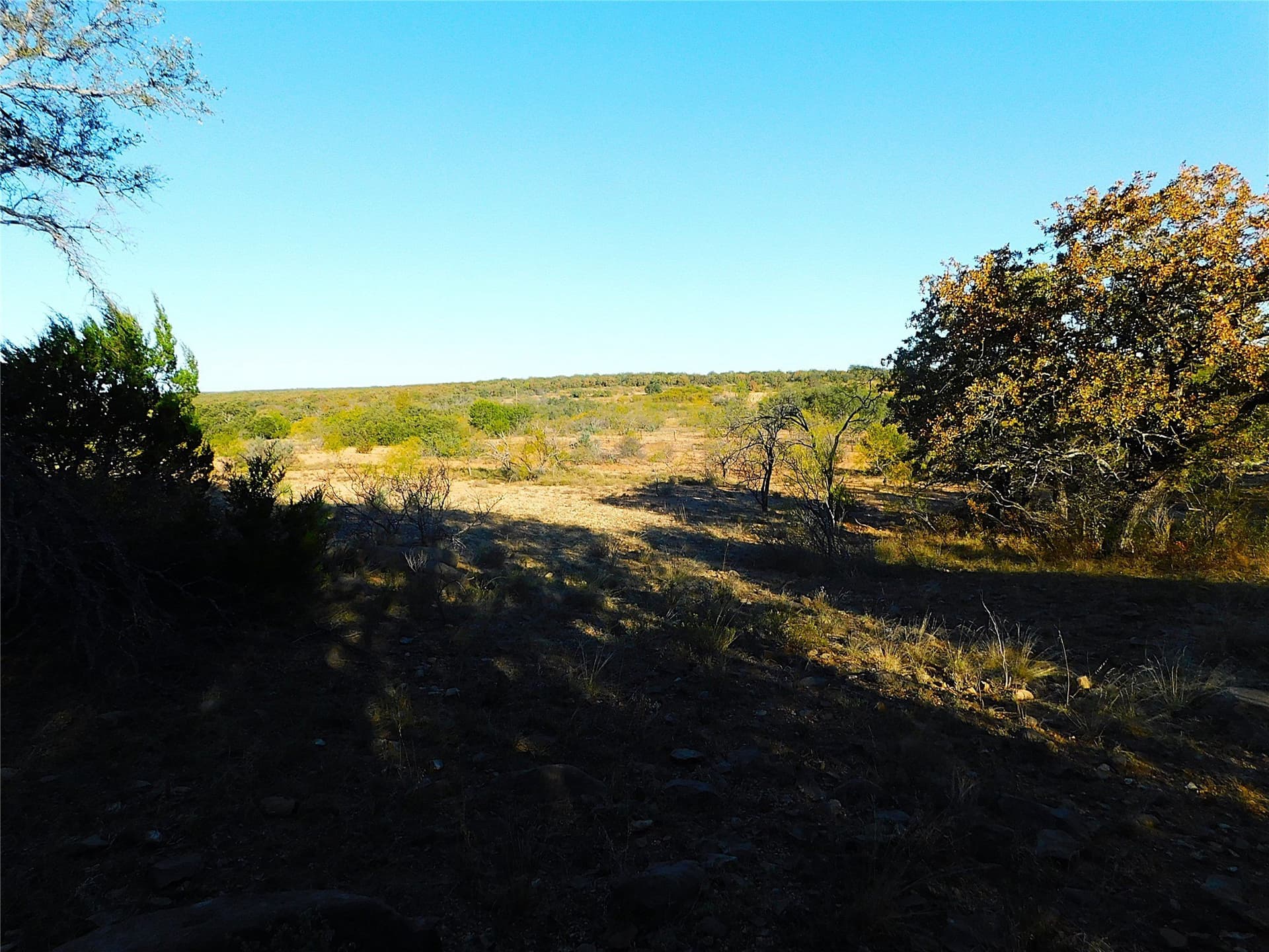 75.99 acres in Brown County - photo 8