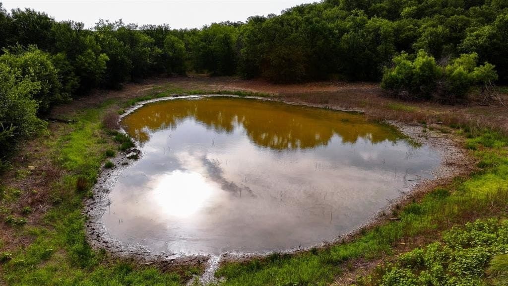 53.97 acres in Young County featured view