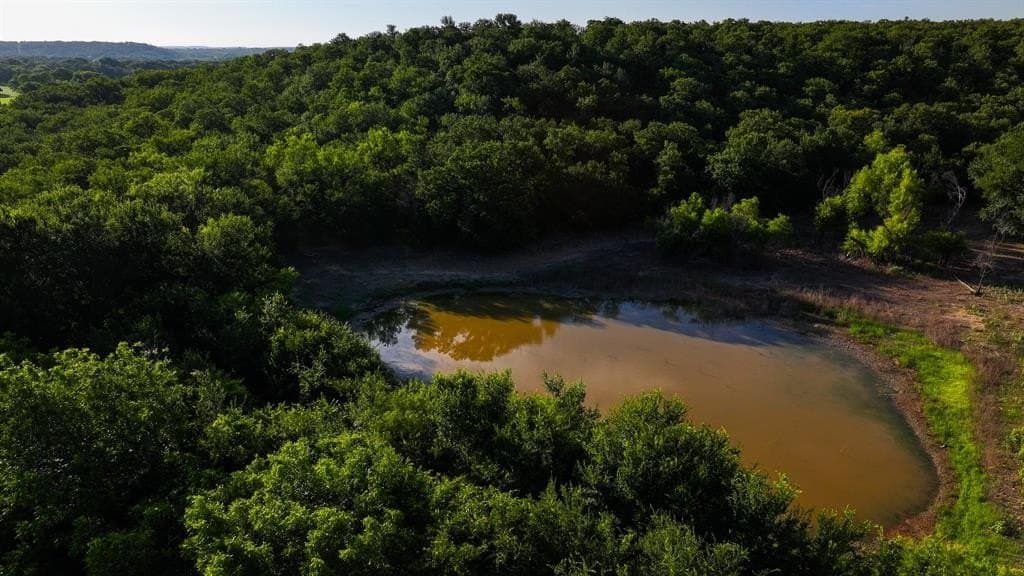 53.97 acres in Young County