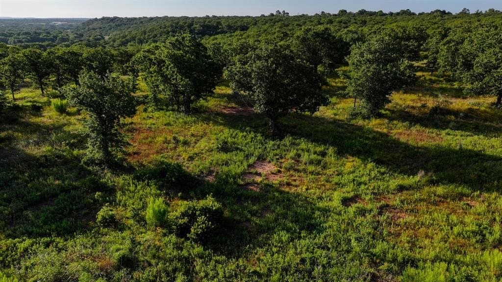 53.97 acres in Young County gallery image 2