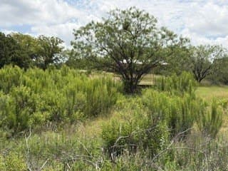 3.3 acres in Stephens County - photo 31