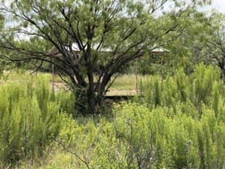 3.3 acres in Stephens County - photo 28