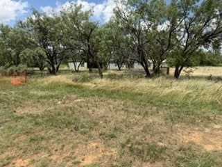 3.3 acres in Stephens County - photo 4