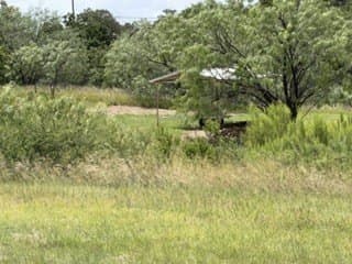 3.3 acres in Stephens County - photo 29
