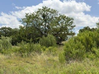 3.3 acres in Stephens County - photo 32