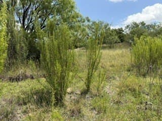 3.3 acres in Stephens County - photo 34