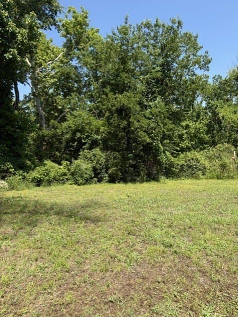 0.88 acres in Grayson County gallery image 4
