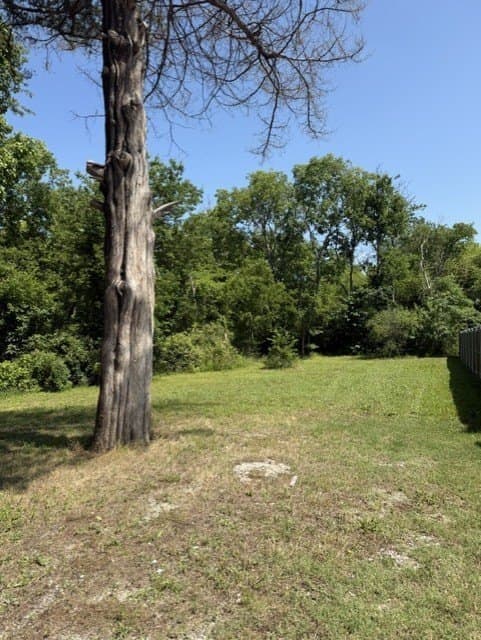 0.88 acres in Grayson County gallery image 2
