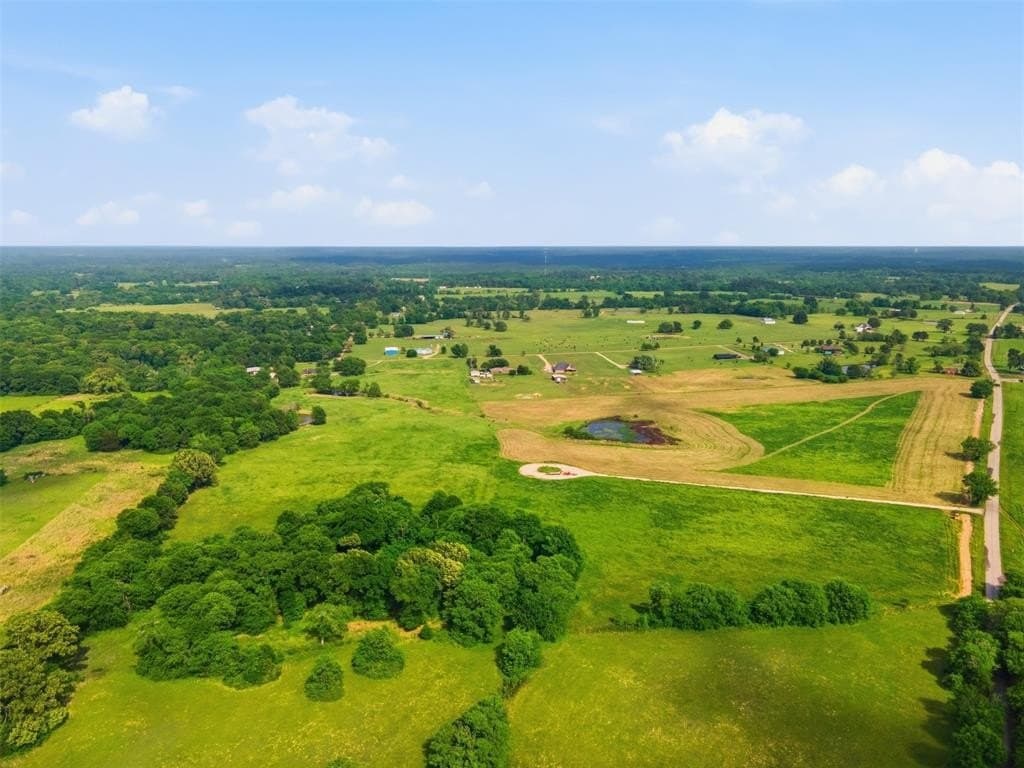 15.5 acres in Titus County gallery image 4
