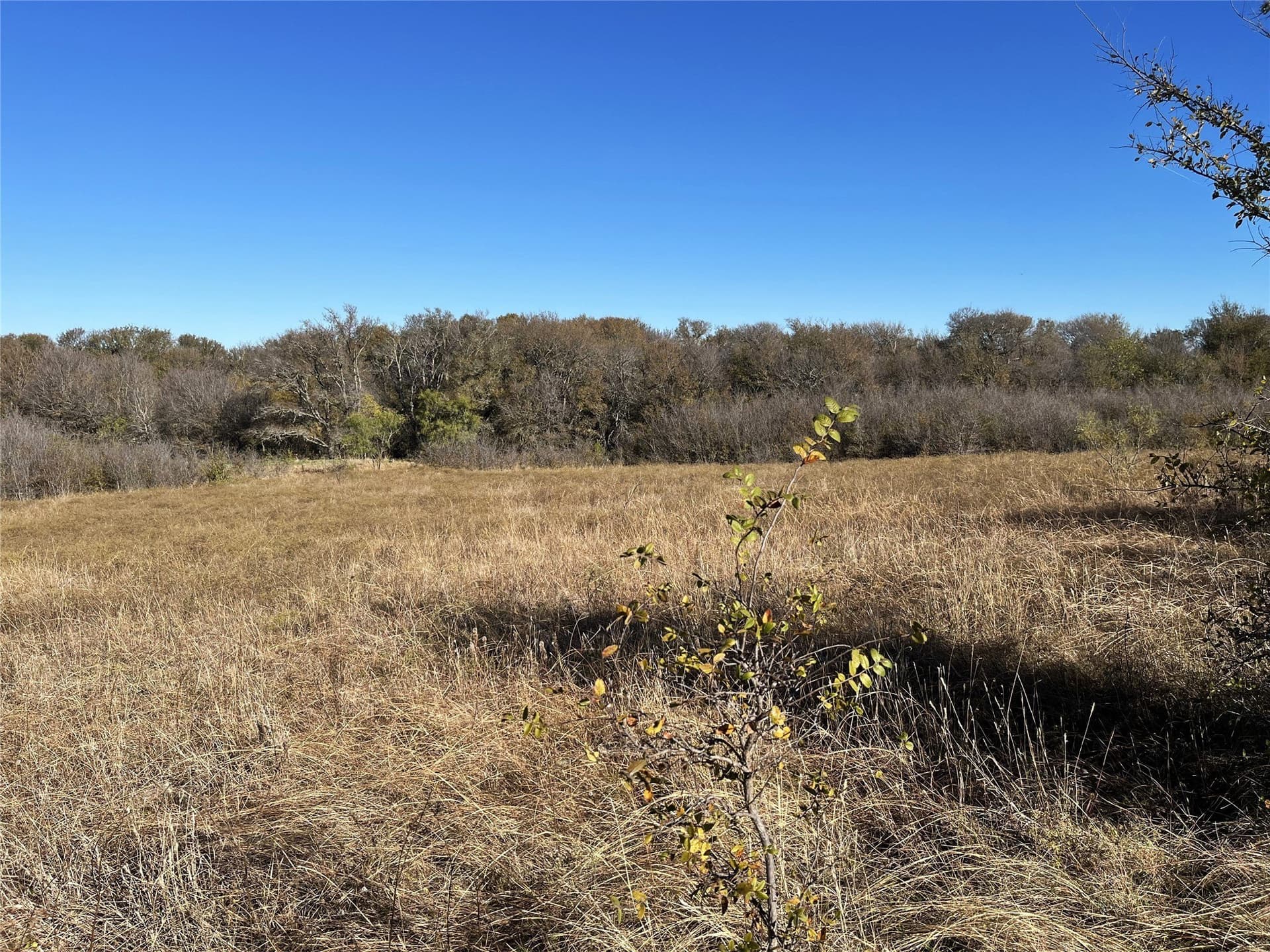 13 acres in Grayson County gallery image 3