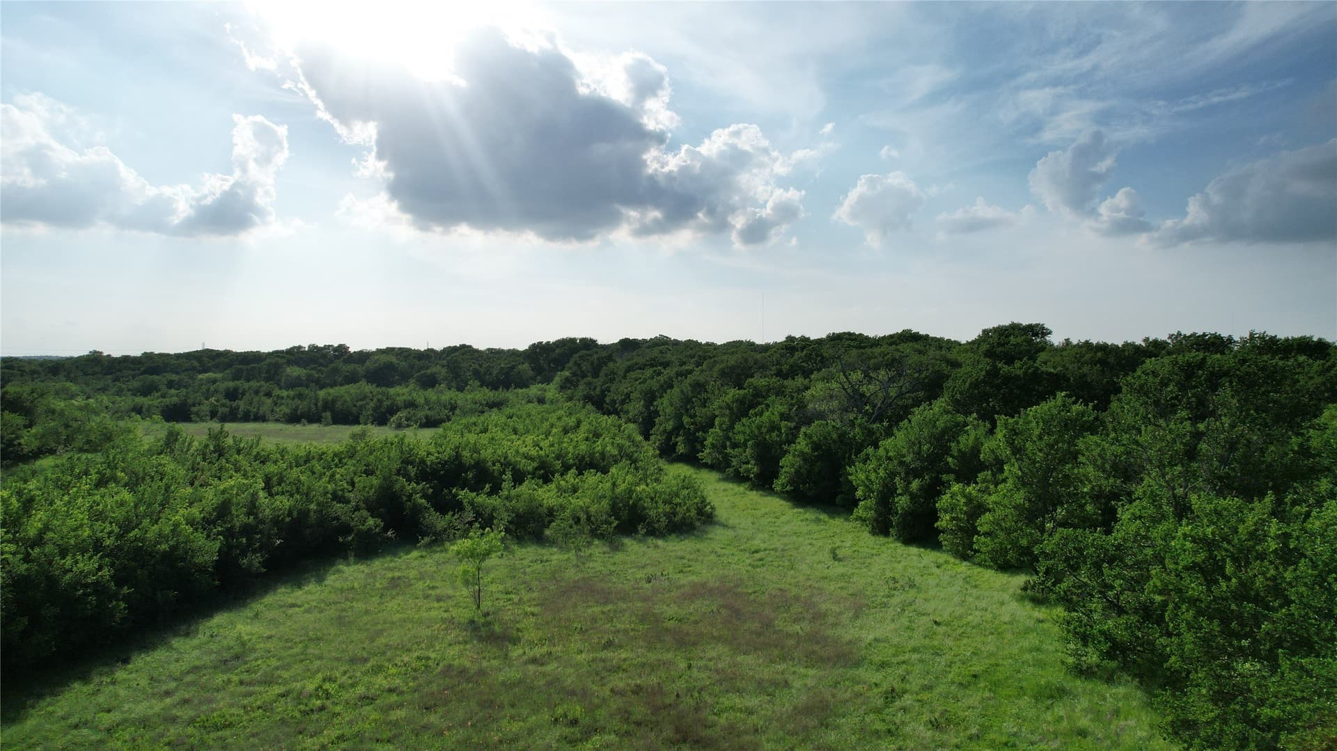 13 acres in Grayson County - photo 6