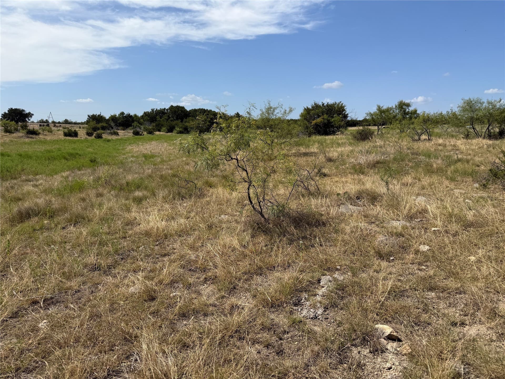11.26 acres in Coryell County - photo 8