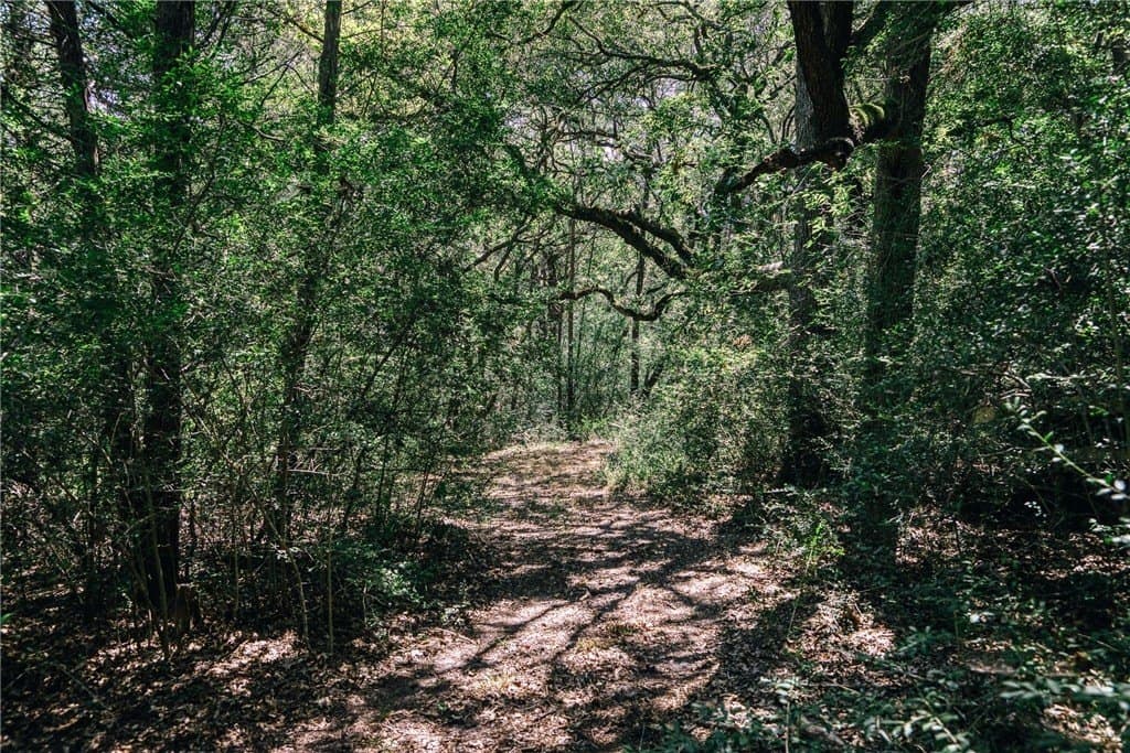3.39 acres in WASHINGTON County - photo 10