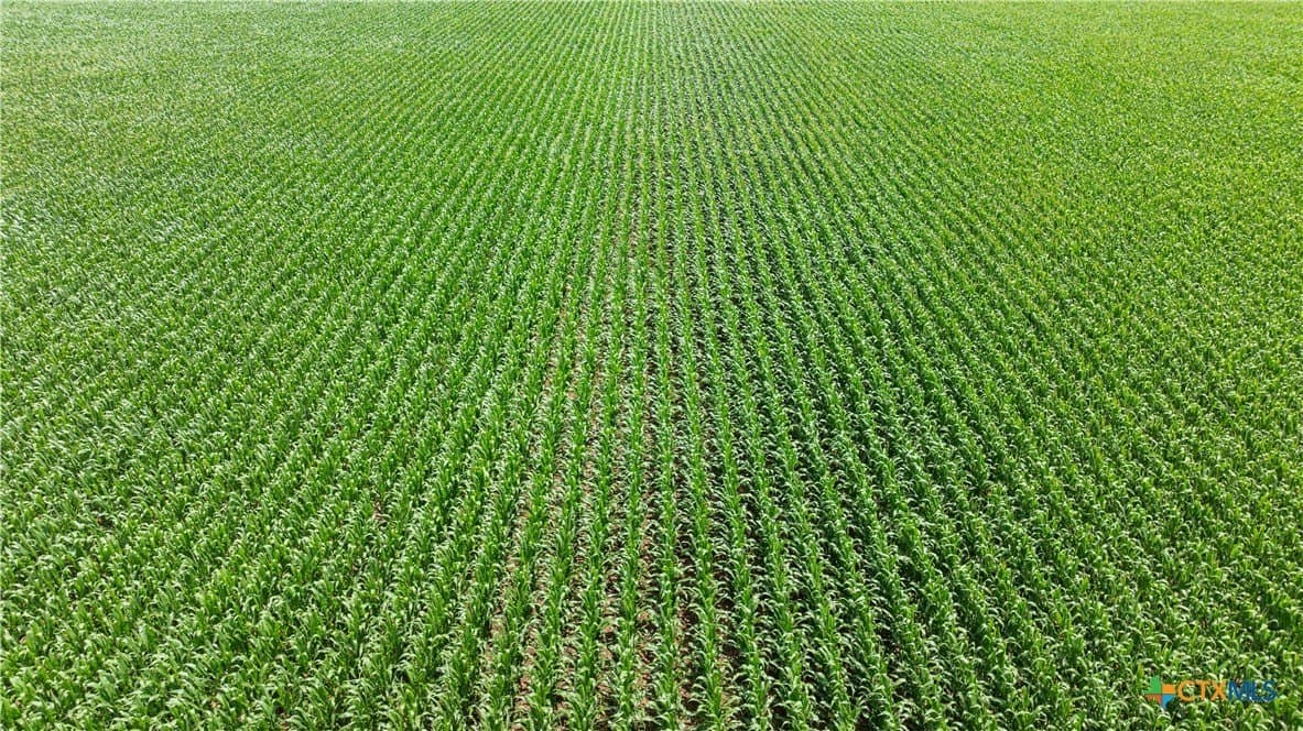 120 acres in Bell County - photo 8