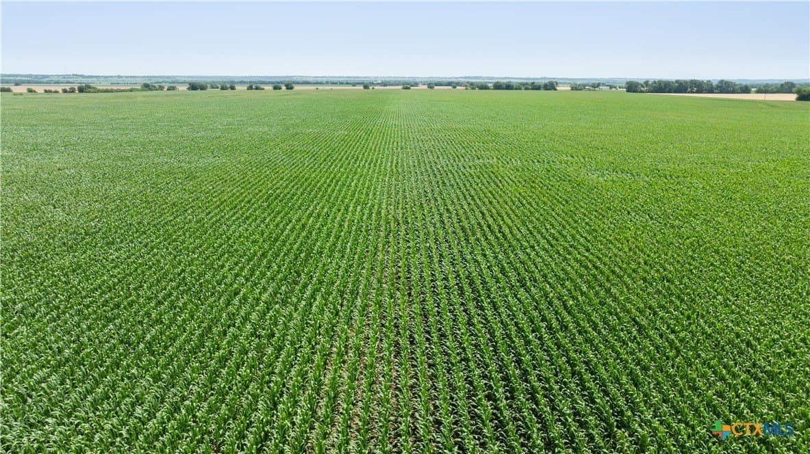 120 acres in Bell County - photo 9
