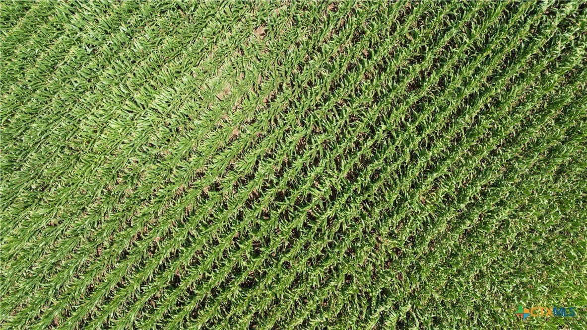 120 acres in Bell County - photo 17