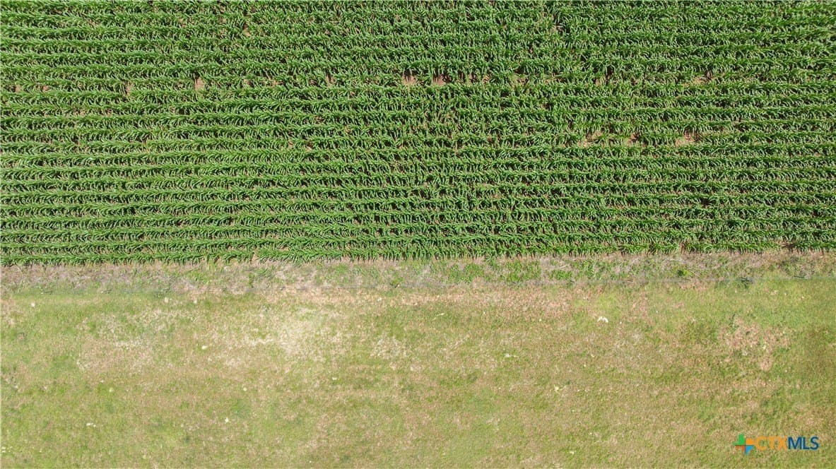 120 acres in Bell County - photo 7