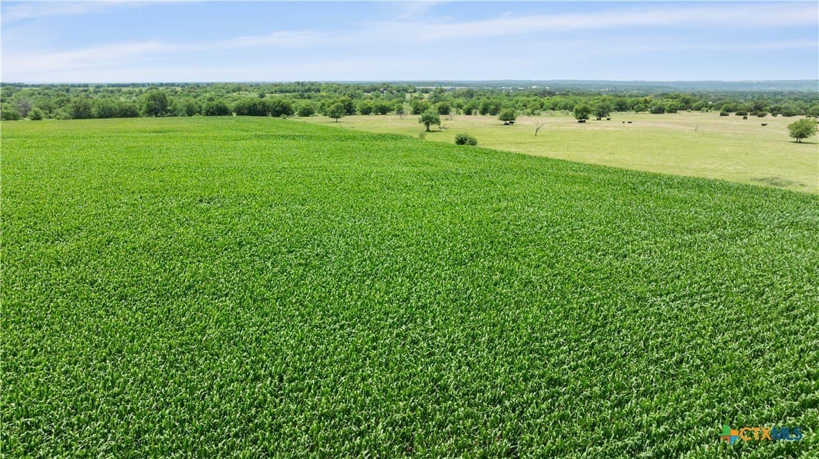 120 acres in Bell County - photo 11