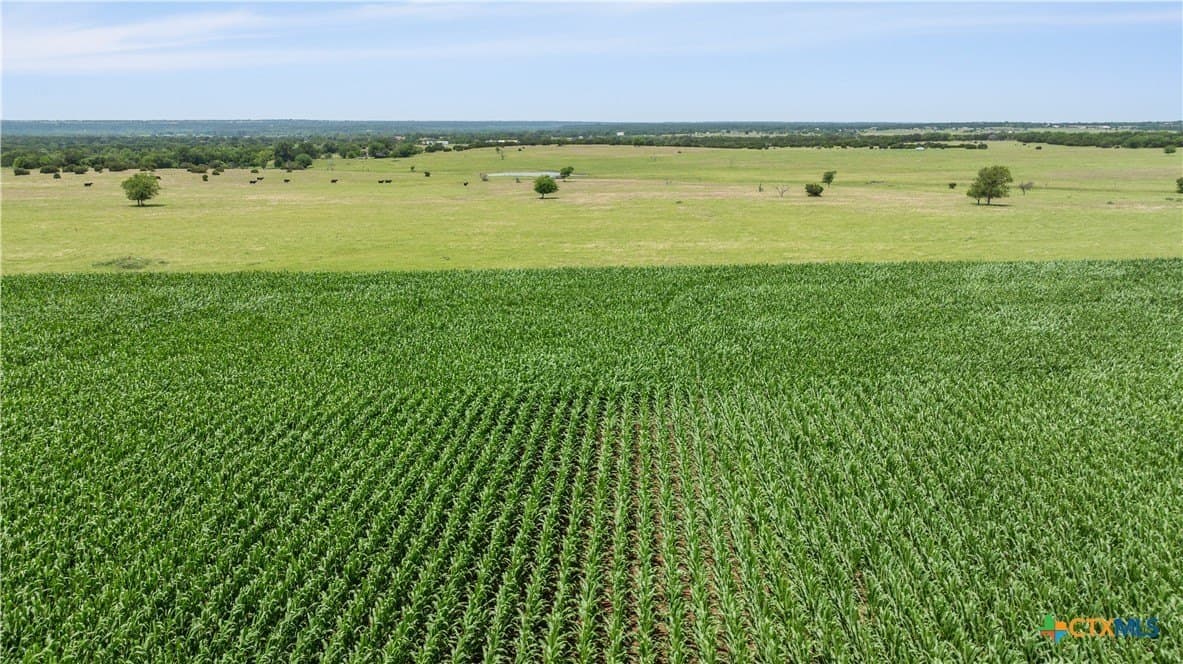 120 acres in Bell County - photo 10