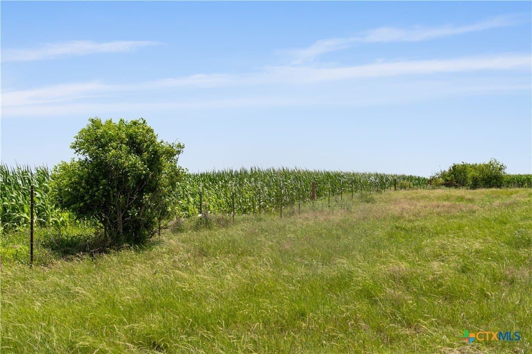 120 acres in Bell County gallery image 3