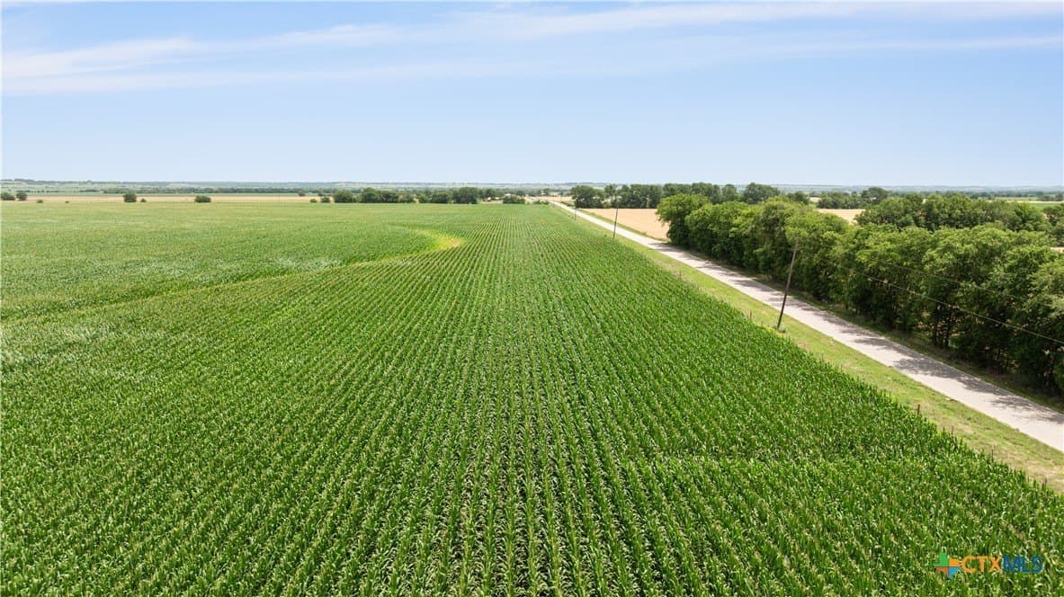120 acres in Bell County - photo 18