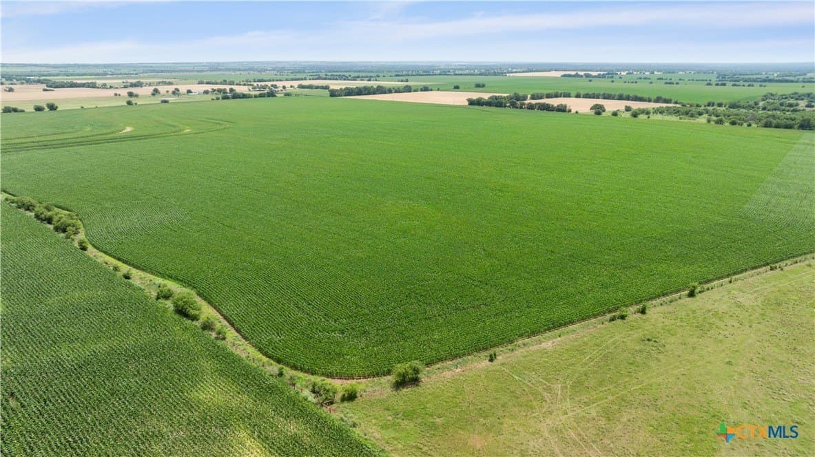 120 acres in Bell County - photo 16