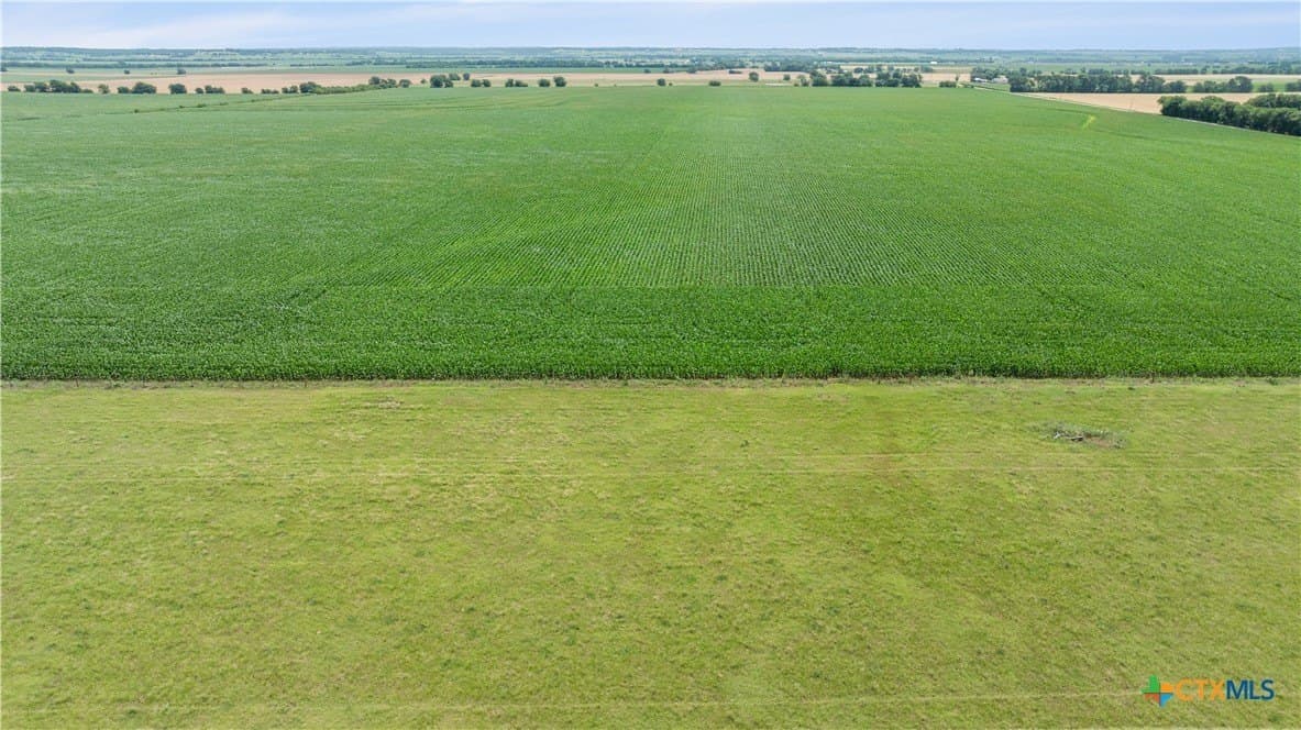 120 acres in Bell County - photo 6