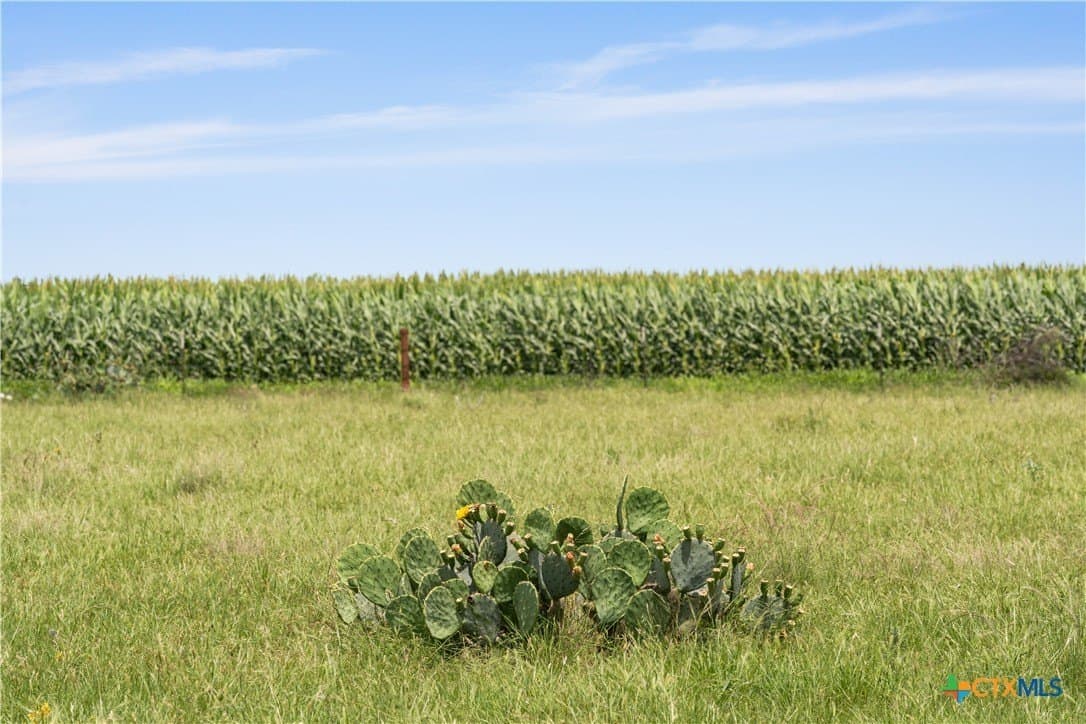 120 acres in Bell County gallery image 2
