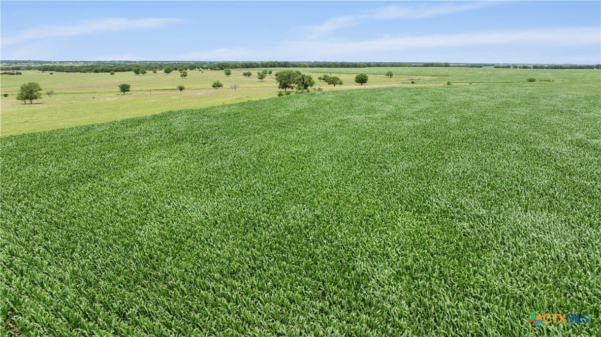 120 acres in Bell County - photo 12