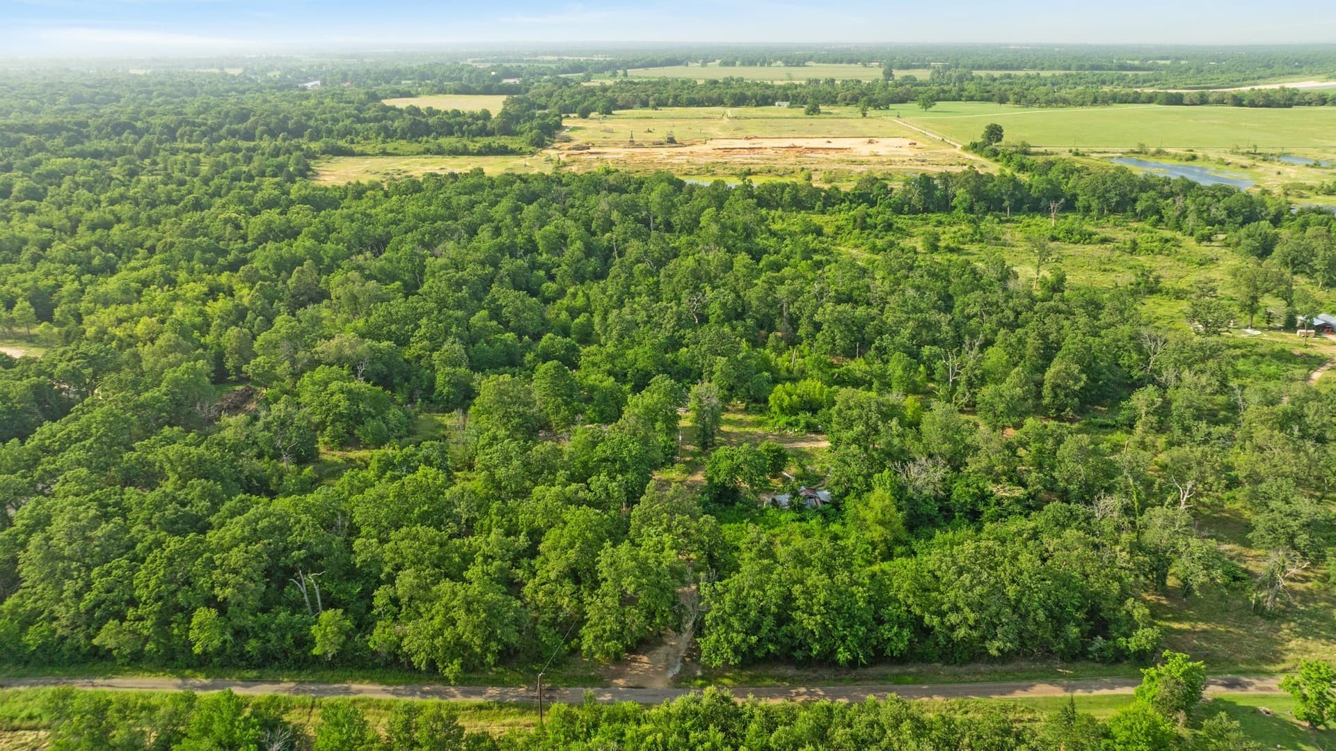 22.52 acres in Lamar County gallery image 2