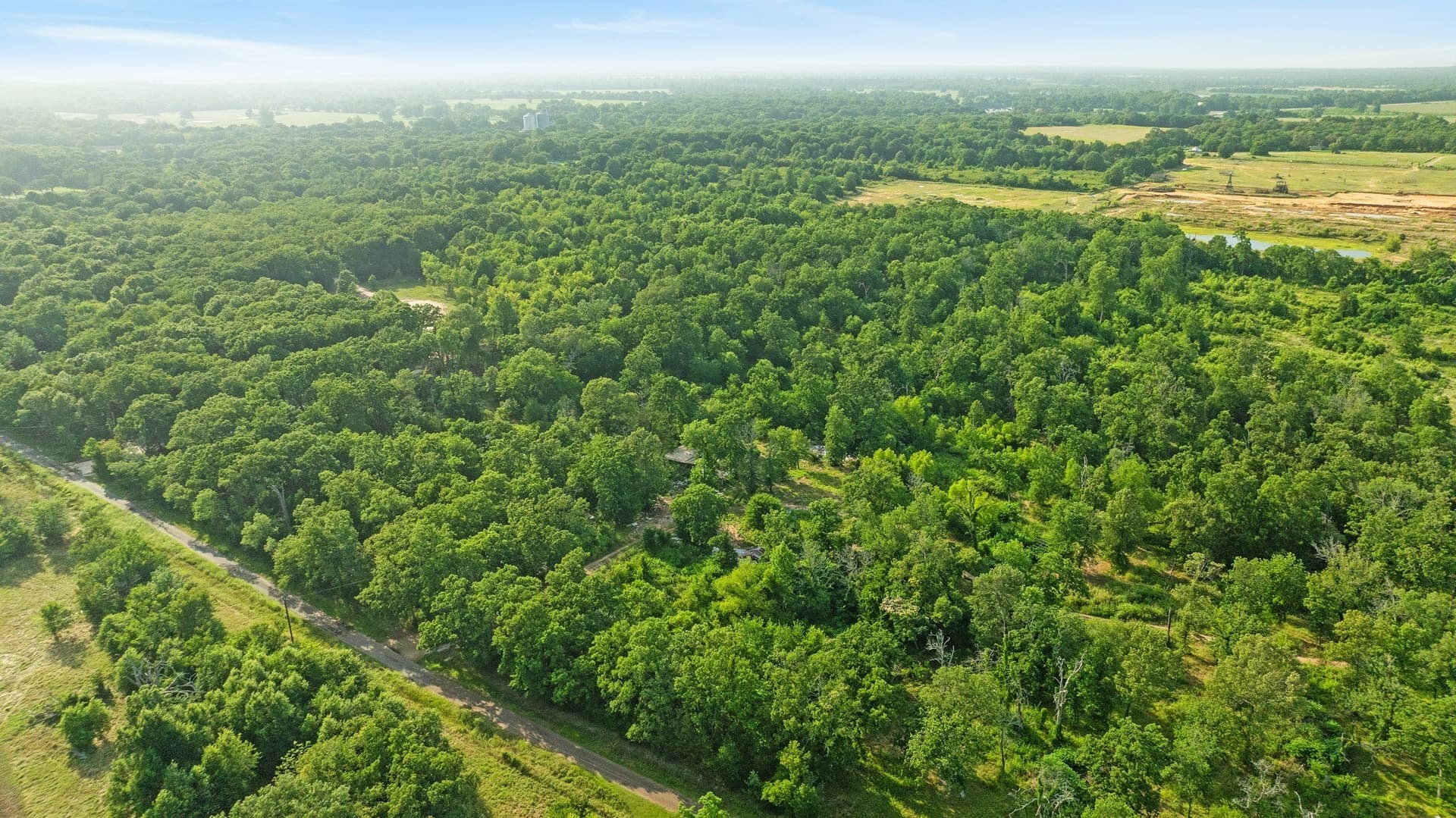 22.52 acres in Lamar County gallery image 3